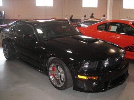 img_0855.jpg (21872 bytes)