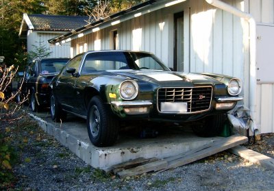 Camaros.jpg (37059 bytes)