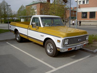 Pict3802s.jpg (36102 bytes)